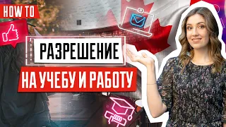 Разрешение на учебу и работу в Канаде | Study Permit | Work Permit | Обучение в Канаде