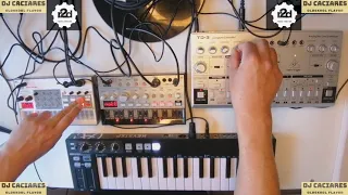 Korg Volca Sample 2, Korg Volca Bass & Behringer TD-3 - Acid House Jam #9