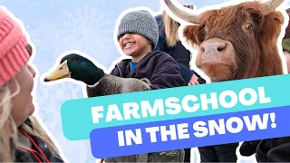 Snowy Farmschool Adventure: Kids Count Eggs, Feed Highland Cattle, and Learn Chicken Types