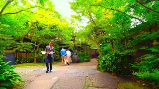 Kyoto walk - THE SODOH HIGASHIYAMA KYOTO (ザ ソウドウ 東山 京都) - 4K