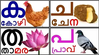 Learn Malayalam Consonants(വ്യഞ്ജനം, vyañjanam)|Malayalam Alphabet Malayalam Aksharamala|ക ഖ ഗ ഘ ങ