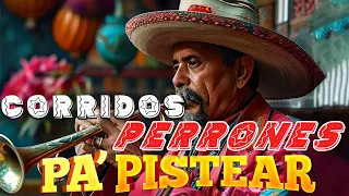 Corridos Perrones Pa' Pistear  Los 50 Corridos Con Banda - Corridos Viejitos