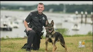 Plymouth Police Officer Fatally Shoots K-9 Partner After Dog Attacked Him