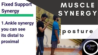 MUSCLE SYNERGIES (Posture Biomechanics)Physiotherapy Tutorial