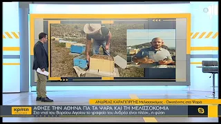 Άφησε την Αθήνα για τα Ψαρά και τη μελισσοκομία