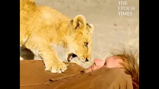 The Heartwarming Journey of a Man and an Abandoned Lion Cub