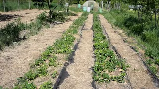 Краснодарский край г Абинск Родовой Поместье Живой Родник в начале мая 2018 г