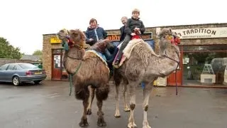 Who Needs A Car When You Have Pet Camels!