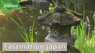 Japanisch inspirierte Gärten | MDR