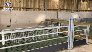 O'Donovan Engineering Sheep Shed - Housing & Handling