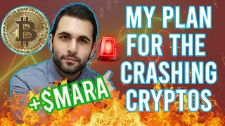 My Plan for the Crashing Cryptos and MARA Stock