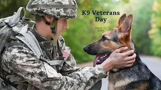 K9 Veterans Day March 13, 2024 #k9 #military #veteran #dog #dogs #germanshepherd #puppy #police