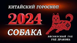 Гороскоп на 2024 год Для Собак | ГОД ДРАКОНА 2024