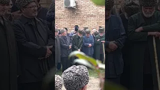 У Полонкоевых Ачалуки