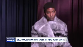 New proposal could ban the manufacture of fur in New York State