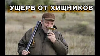 Ущерб от хищников