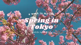 Tokyo Vlog | Daily life in Tokyo Cherry blossoms, Kawazu sakura, teleworking working in Japan, cafes