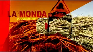 La Monda. A Documentary produced by Luis Pérez Tolón, Emilia Productions Miami.