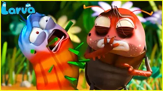 🍅🍅LARVA SEASON 5 EPISODE 362 ~ 412 🍅🍅 CARTOON COMPILATION 🍅🍅 CARTOONS MOVIE NEW VERSION