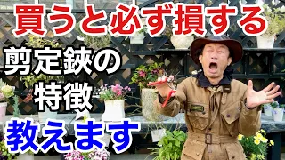 【買って後悔しました】この記載がある剪定鋏には要注意　　　　【カーメン君】【園芸】【ガーデニング】【初心者】