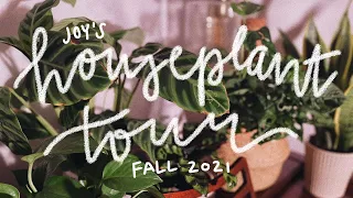 my first houseplant tour!! | fall 2021