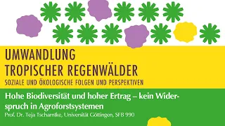 Hohe Biodiversität und hoher Ertrag: kein Widerspruch in Agroforstsystemen