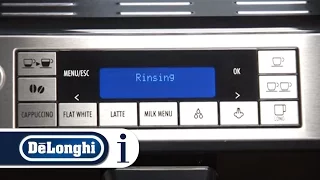 How to rinse your De'Longhi Eletta Cappuccino ECAM 45.760 Coffee Machine for the first time