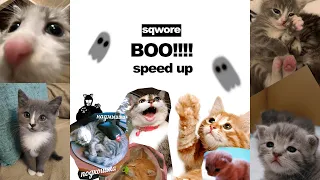 Sqwore, 17 SEVENTEEN - BOO! (speed up, sped up) (как я провела лето)