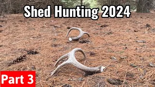 Shed Hunting 2024 - Biggest Shed this Year - Part 3