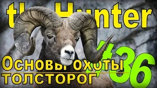 theHunter - Толсторог [Основы охоты] #36