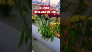 wow Innovative Gardening #shorts #gardening #gardeningtips #shortvideo