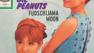 Die Peanuts - Fudschijama Moon