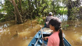 PESCARIA COM CANIÇO/RIO AMAZONAS/COSTUMES RIBEIRINHO