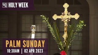 Palm Sunday Mass 2023 – Catholic Sunday Mass Today Live Online