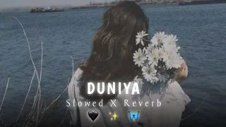 Duniyaa - [Slowed + Reverb] | LoFi Queen