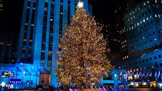 Cops Prepare for Protest at New York Christmas Tree Lighting