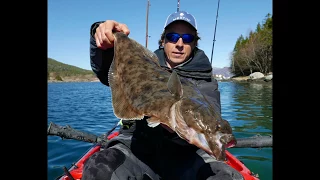 Norway Fishing 2017 (big Coalfish and Cod underwater strikes (waterwolf underwater camera)