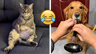 Funniest Animals 2023 🤣 - Funny Cats and Dogs 😹🐶  -Funny Animal Videos 😂#48