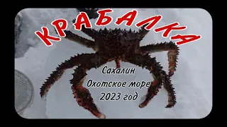 КРАБАЛКА на Сахалине 2023 год, Охотское море.