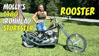 Molly's 1980 Ironhead Sportster - Rooster