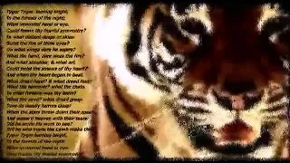 Тигр Тигр Жгучий Страх (Менталист) Уильям Блейк