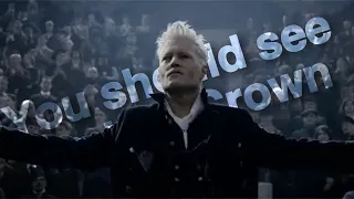 Gellert Grindelwald: You Should See Me in a Crown