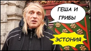 ГЕША И Странные ГРИБЫ 🍄 Таллинн - Йыхви 🇪🇪 Геша Ушивец В Эстонии #2