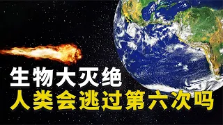 地球经历的五次大灭绝，究竟有多灾难？我们正在经历第六次