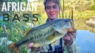Semi-Urban pond fishing for Big Bass (South Africa 🇿🇦)