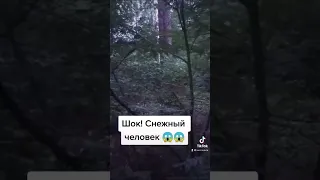 Снежный человек