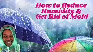 How to Reduce Humidity and Mold | Rainy Season in Panama | Black Women Expats Living Abroad