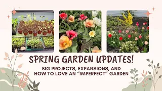 Spring Garden Updates! | Expanding Our Food Production and How to Love an "Imperfect" Garden