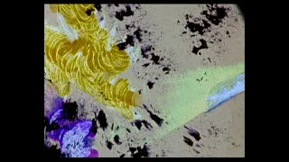 Glaze of Cathexis (1990) | Stan Brakhage