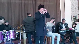 shavkat bekbayev ko' chamdan janon otganda ( jonli ijro)